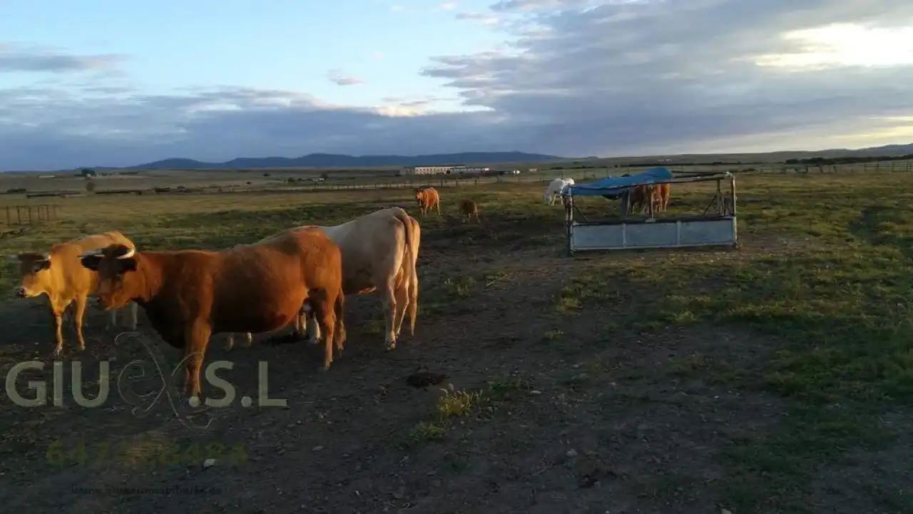 Terreni e lotti in vendita a Valdesalor - Rincón de Ballesteros, imagen 10