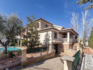 Villa con piscina in vendita a Calle DE LAS CAÑAS 16