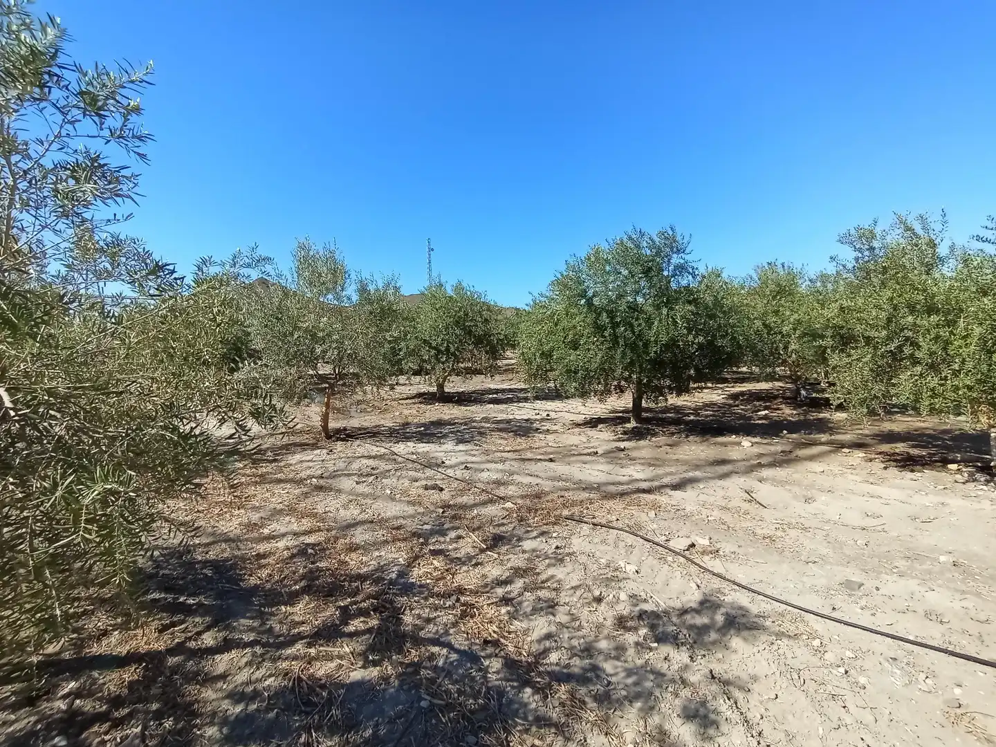 Terreni e lotti in vendita a Pedanías Sur, imagen 6