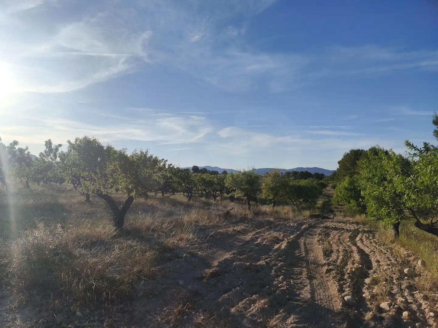 Terreno rustico in vendita a Moratalla, imagen 5