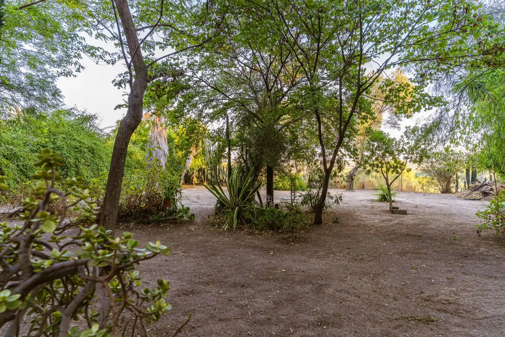 Garden of Houses for sale in Jerez de la Frontera  with Private garden