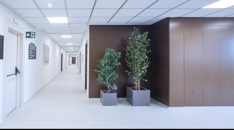 Foto 5 de Oficina de lloguer a Carrer del Professor Beltrán Báguena, 2, Barrio de Campanar, Valencia