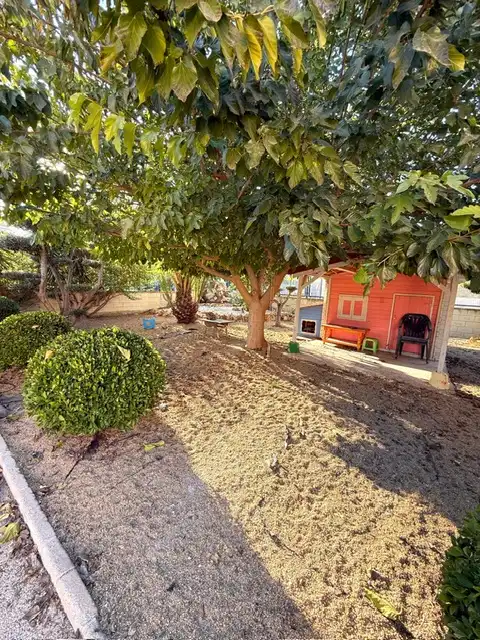 Jardí de Casa o xalet en venda en Elche / Elx amb Aire condicionat, Calefacció i Jardí privat