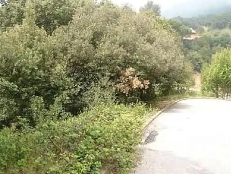 Terreno residencial en venta en Avinguda Andalusia, imagen 3