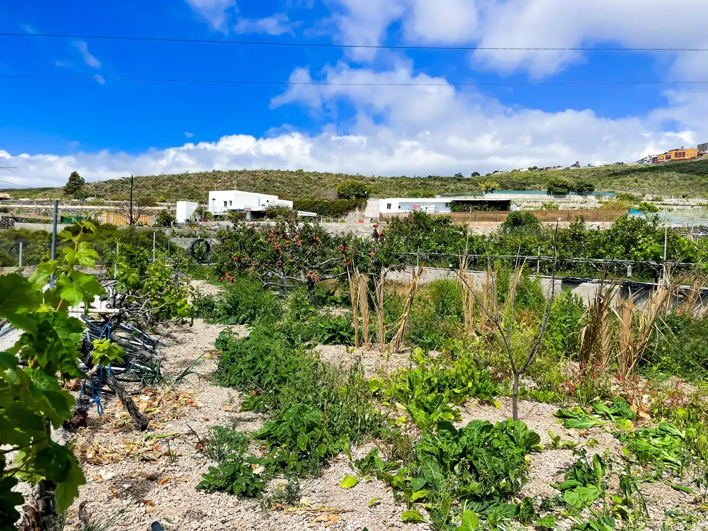 Casa o chalet en venta en Granadilla de Abona con Jardín privado, Terraza y Amueblado