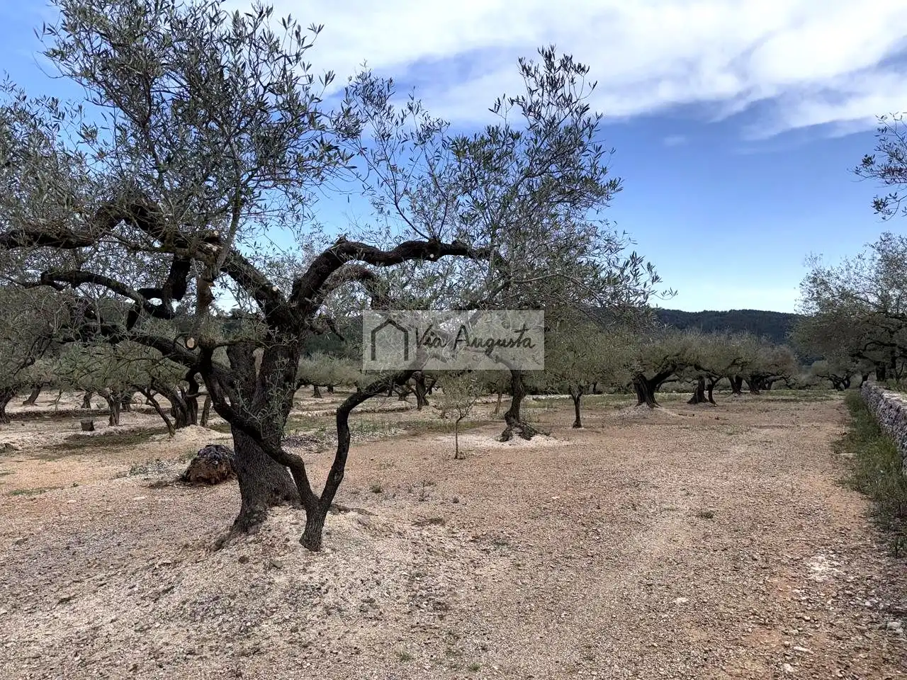 Country homes for sale in Tortosa