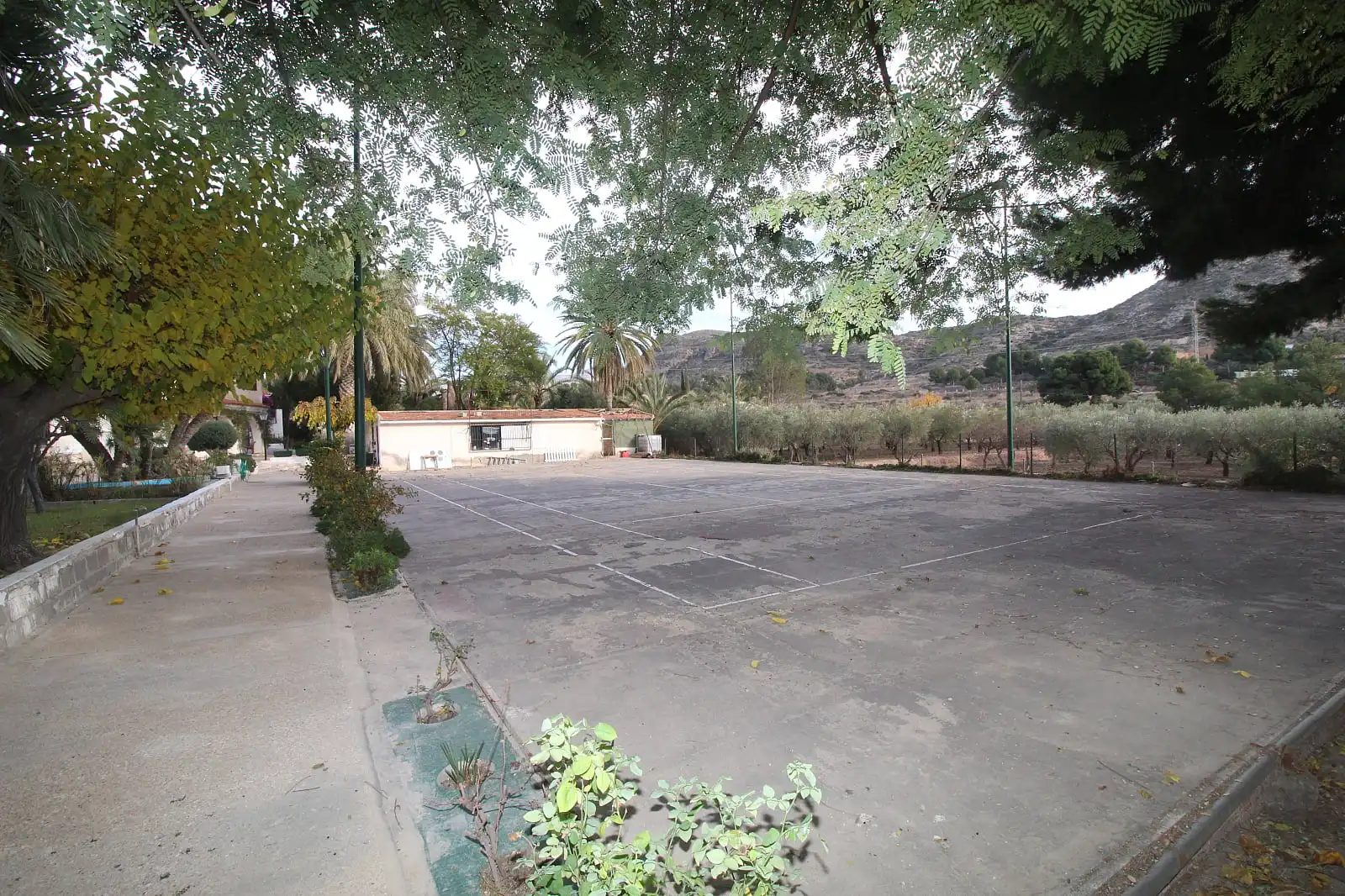 Casa amb terrassa en venda a Campo Alto - Club de Campo, imagen 23