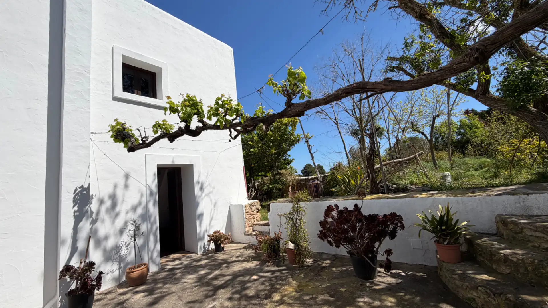 Jardí de Finca rústica de lloguer en Sant Antoni de Portmany amb Terrassa, Moblat i Forn
