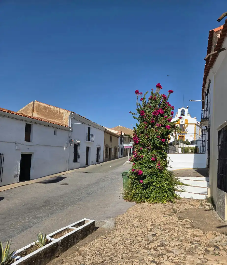 Casa adosada en venta en Calle San Cristóbal, Nogales