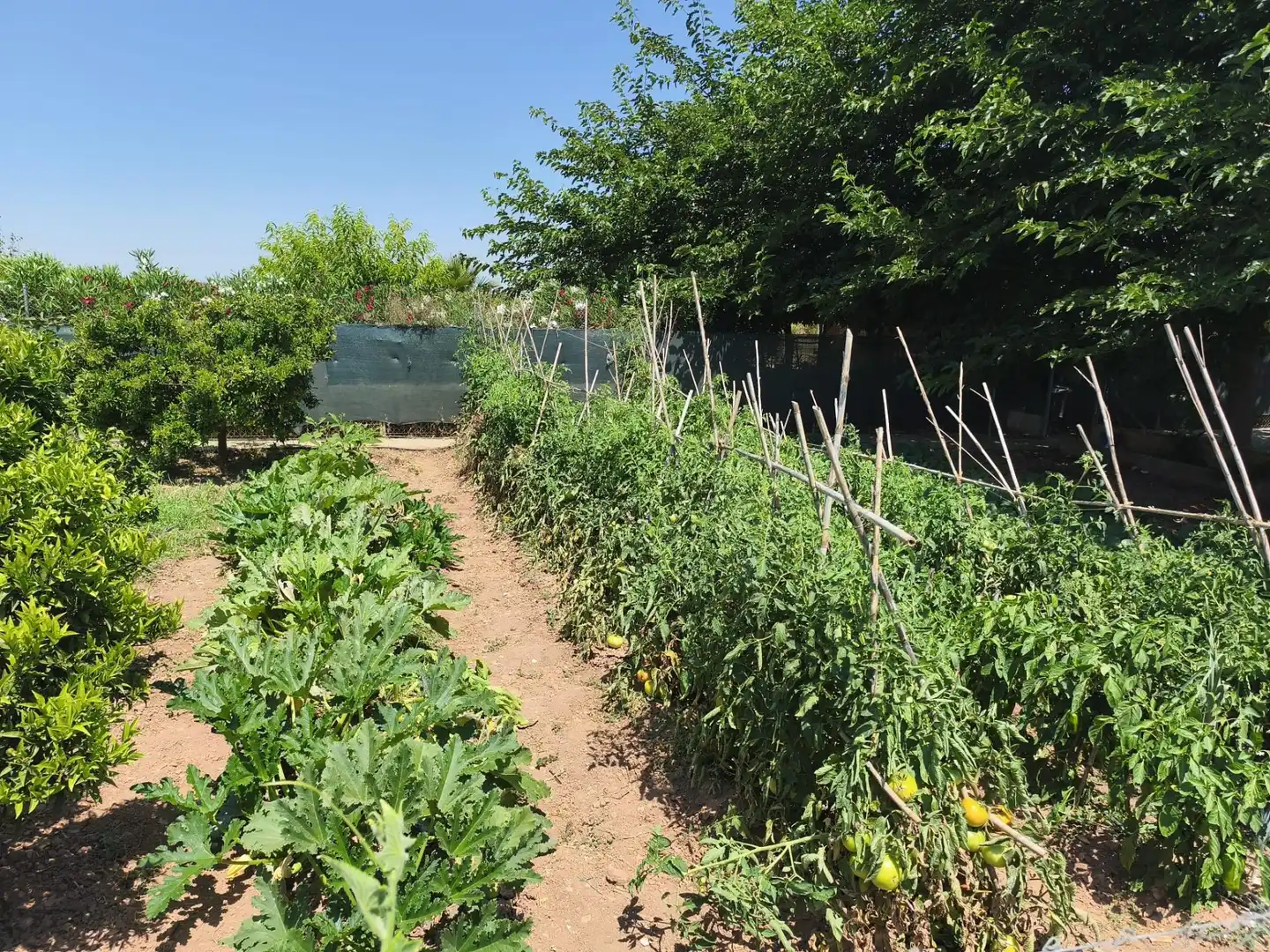 Jardín de Finca rústica en venta en Foios con Aire acondicionado, Calefacción y Jardín privado