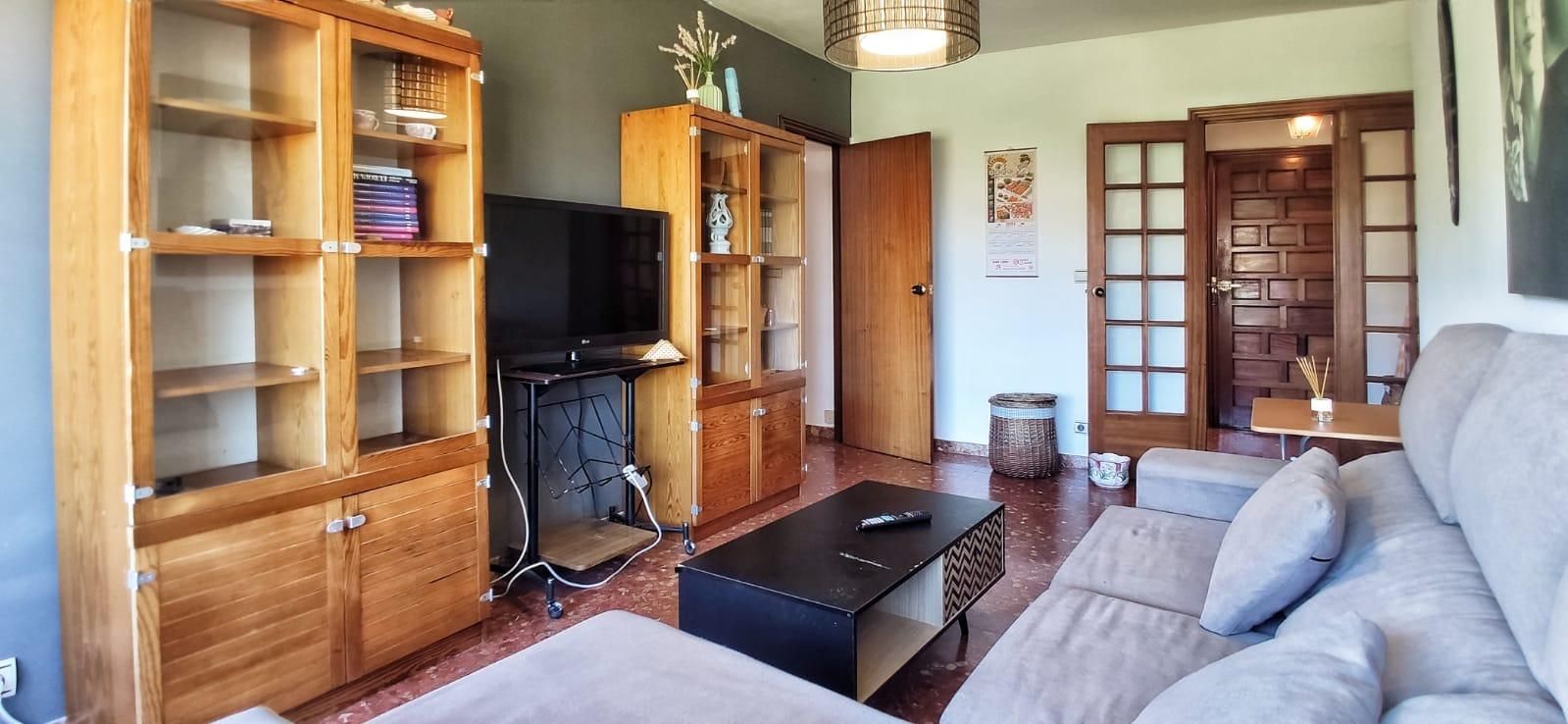 Sala d'estar de Pis de lloguer en Pontevedra Capital  amb Terrassa