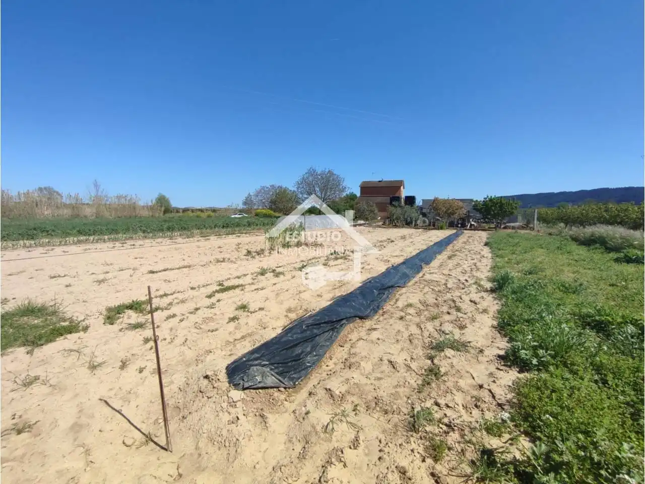 Rural land for sale in Camino Callejada, imagen 10