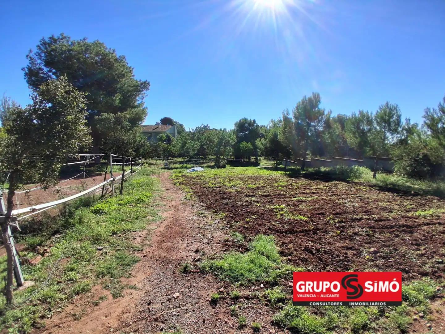 Rural land for sale in Corralet - Bonanza - Tres Rutas, imagen 3