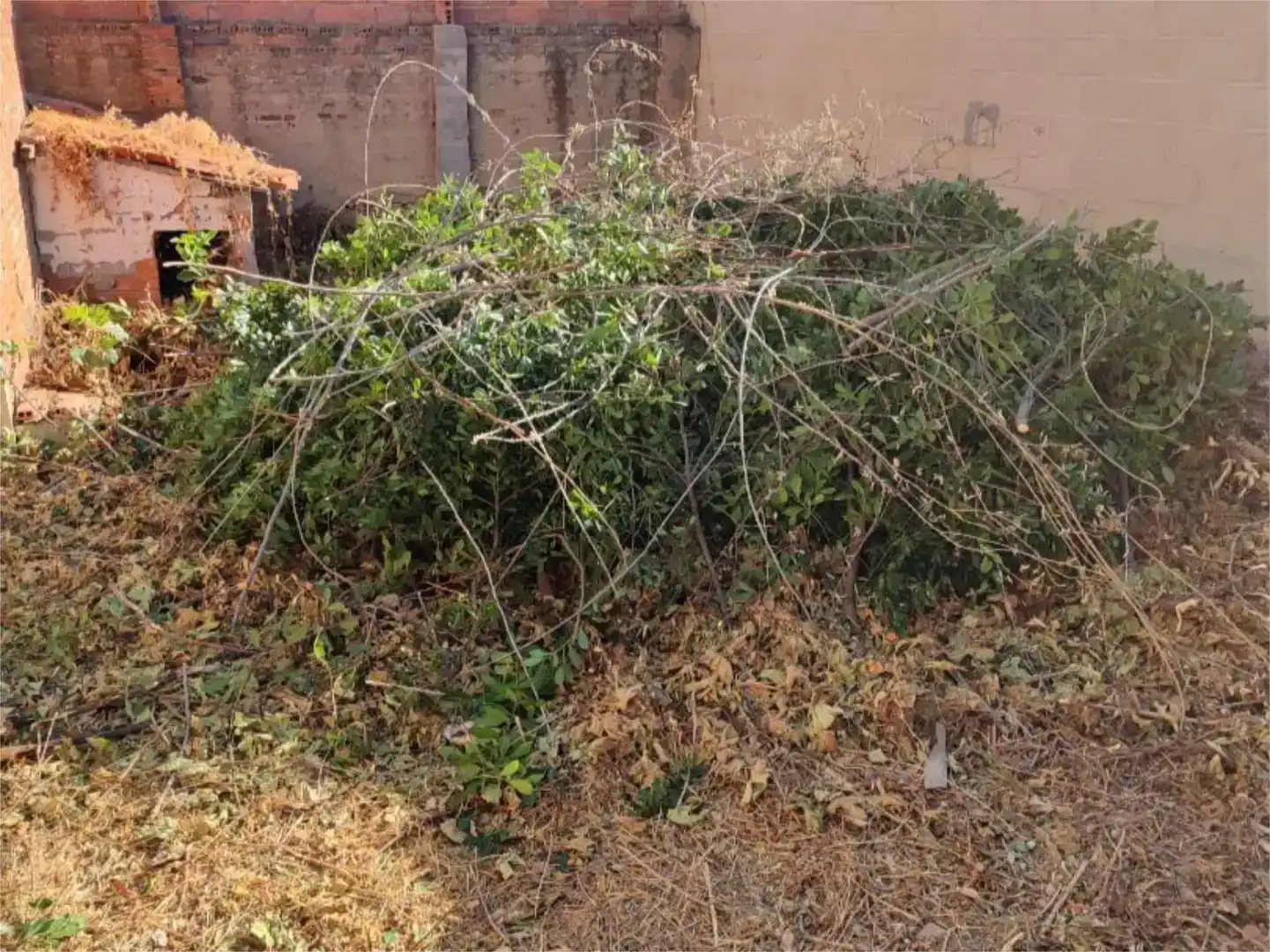 Planta baixa en venda en La Bañeza  amb Jardí privat
