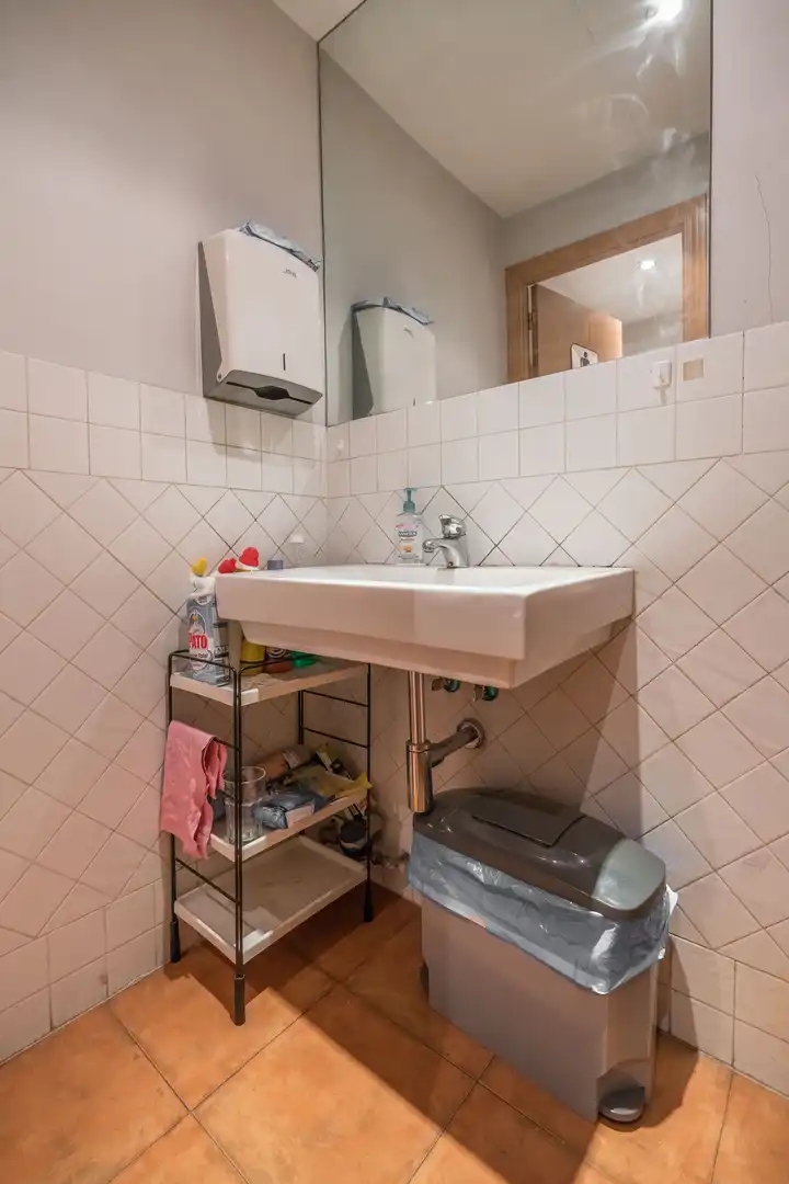 Bathroom of Commercial properties for sale in Madrid