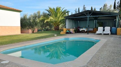 "Finca rústica a 5 minutos del pueblo blanco de Arriate y a 10 minutos de la histórica ciudad de Ronda., imatge 4