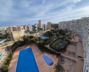 Piscina de Àtic en venda en Alicante / Alacant amb Aire condicionat, Terrassa i Piscina comunitària