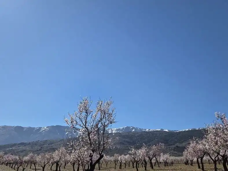Außenansicht von Grundstücke zum Verkauf in Abrucena