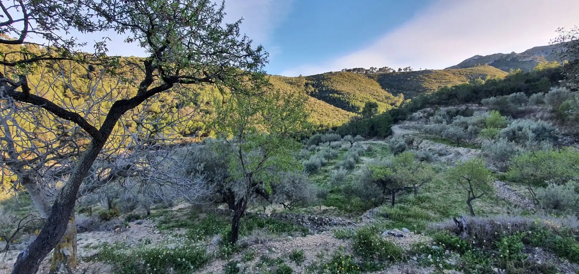 Casa o chalet en venta en Rasquera