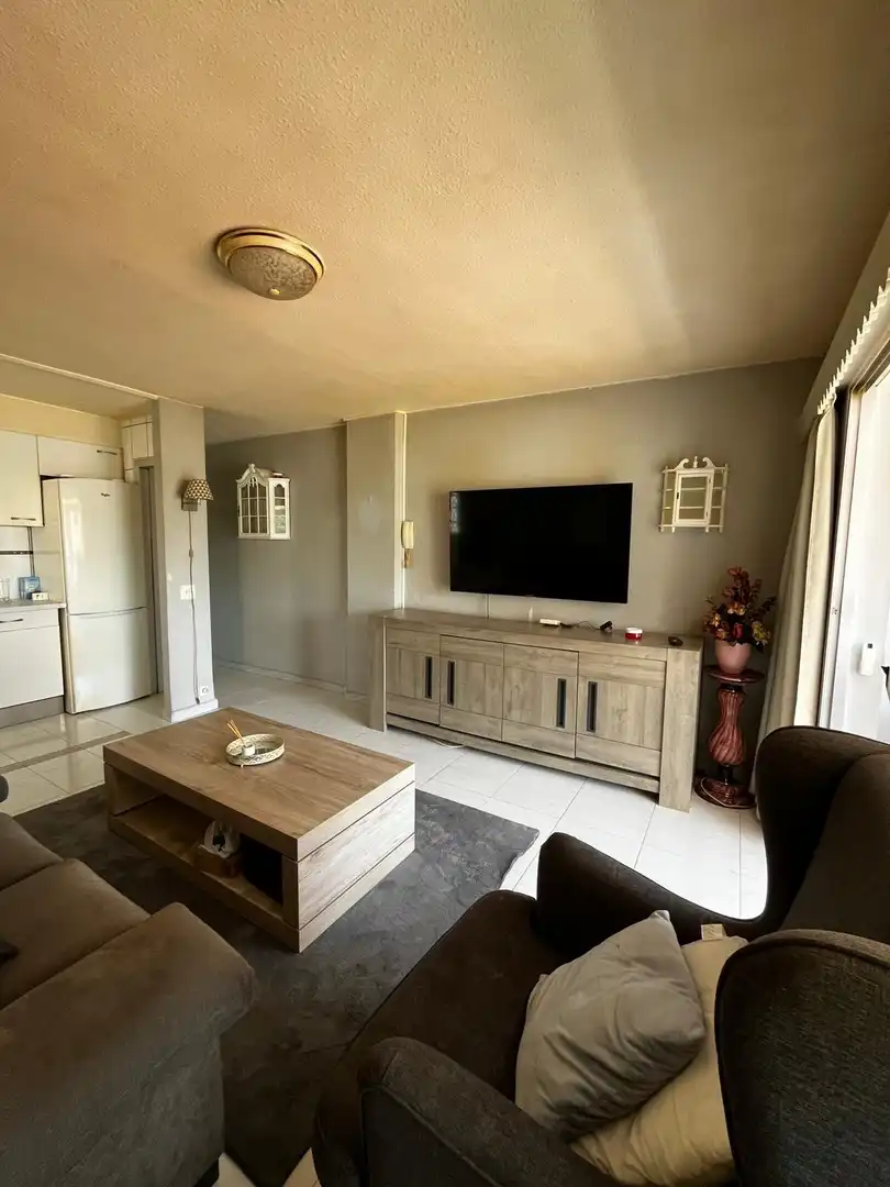 Sala d'estar de Apartament en venda en Benidorm amb Aire condicionat, Calefacció i Moblat
