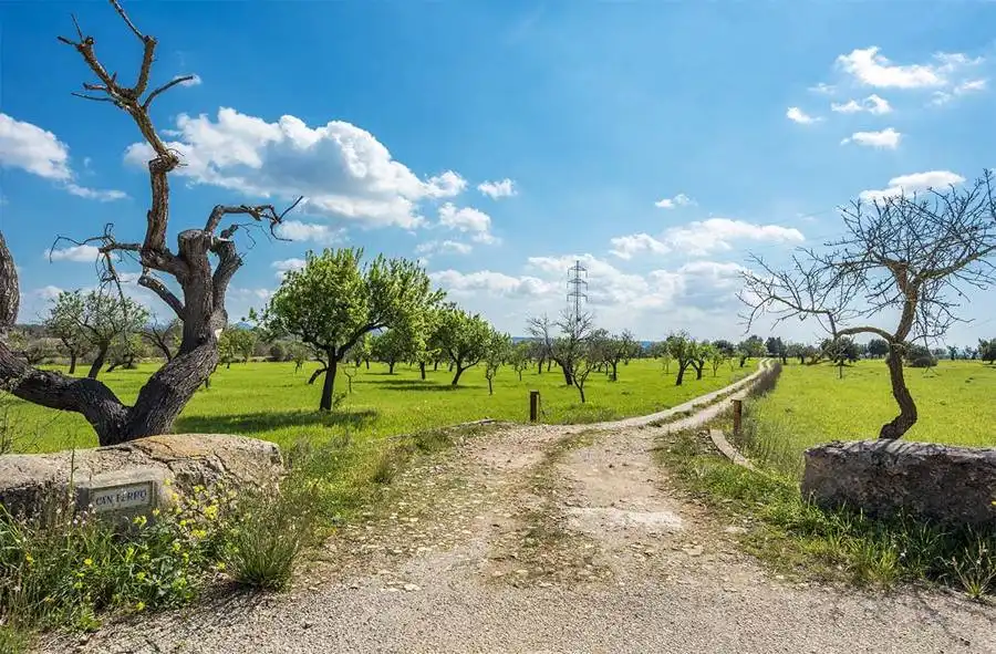 Maison rustique à vendre à Sant Joan, imagen 2