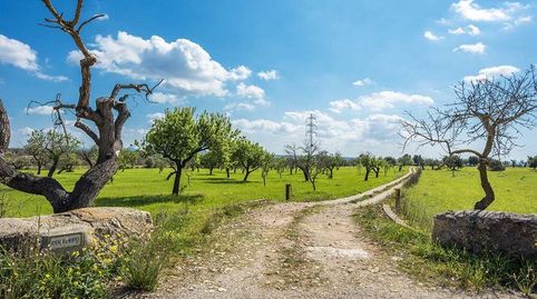 Atractiva finca rústica para reformar en Puntiró, imagen 2