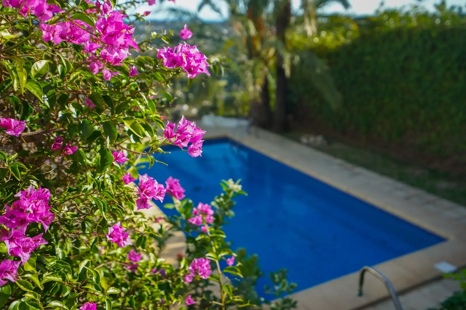 Swimming pool of Houses for sale in Jávea / Xàbia  with Private garden, Terrace and Swimming Pool