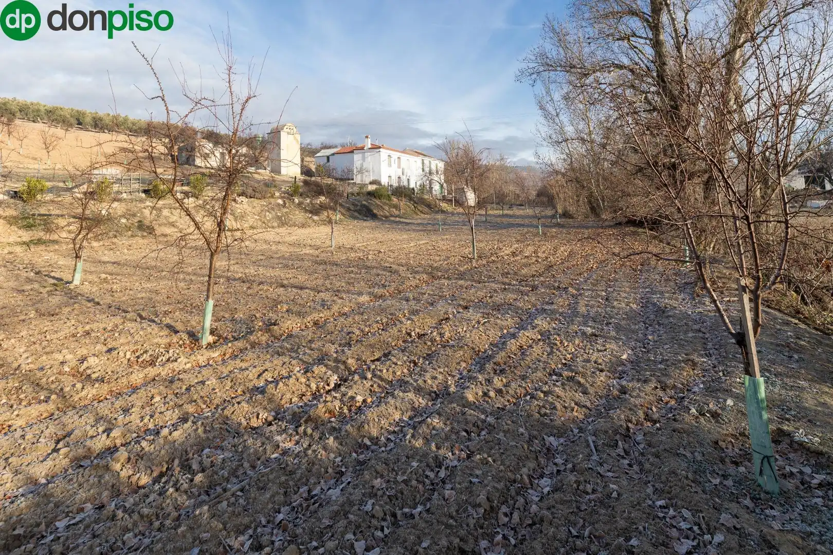 Finca rústica en venta en Calle CAGALONA, 3, Píñar