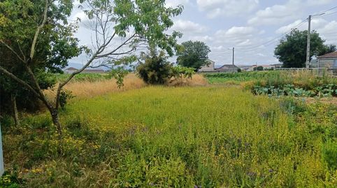 Foto 3 de Finca rústica en venta en Piñeira Seca, 56, Xinzo de Limia, Ourense