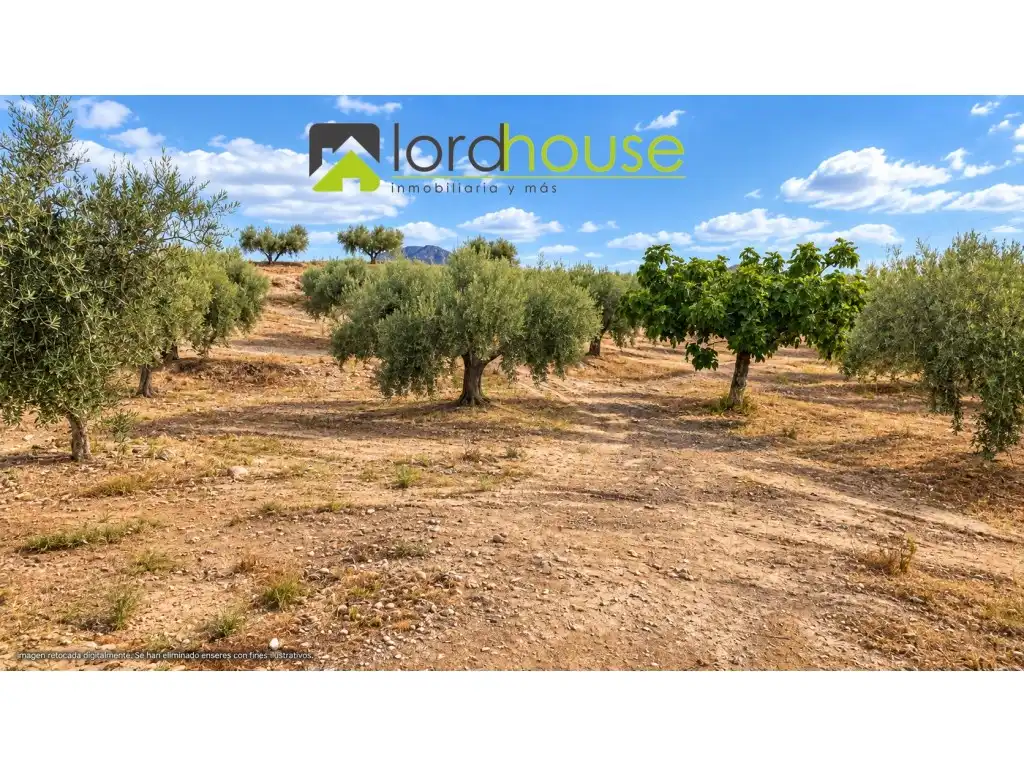 Casa o xalet en venda en Lorca