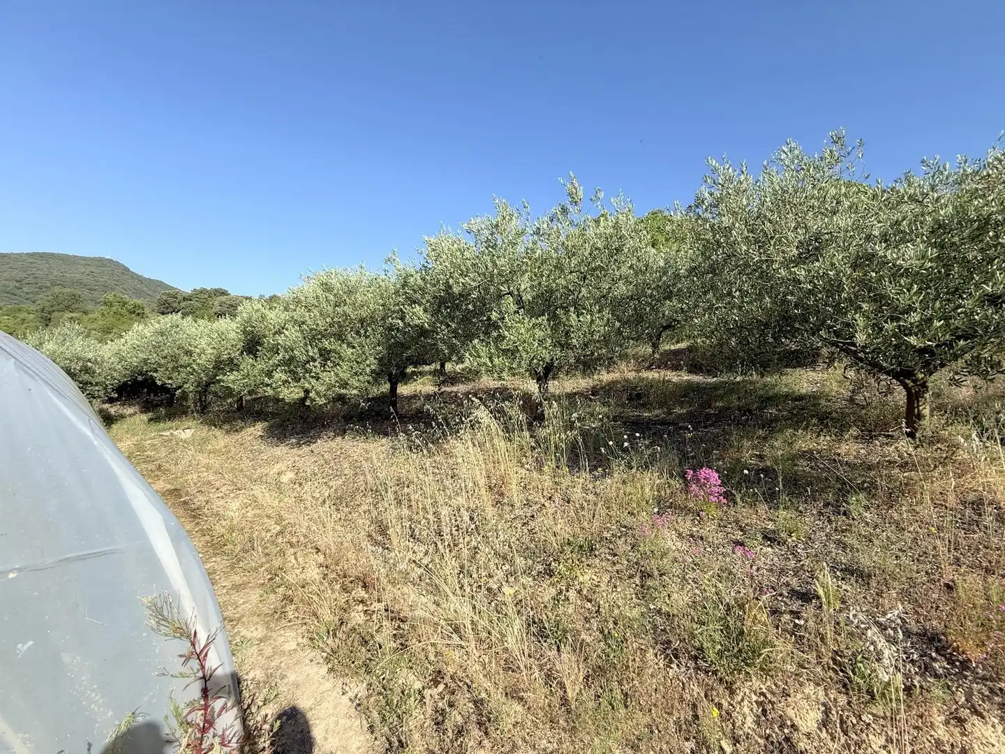 Country homes for sale in Valle de Yerri / Deierri  with Private garden and Swimming Pool