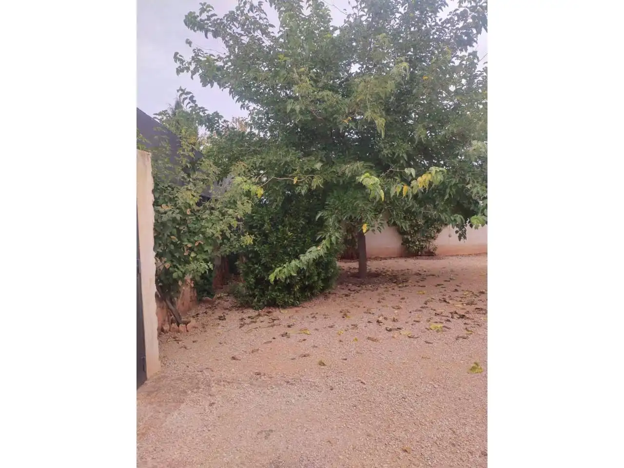 Residential land for sale in Urbanizacion Vega del Azuer 33, imagen 6