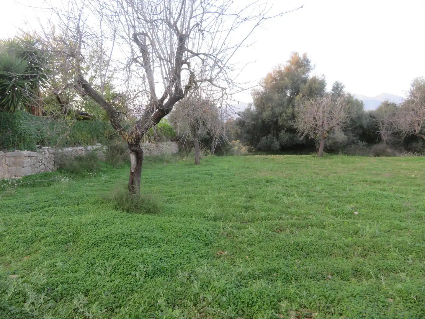 Terreny rústic en venda a Selva, imagen 6