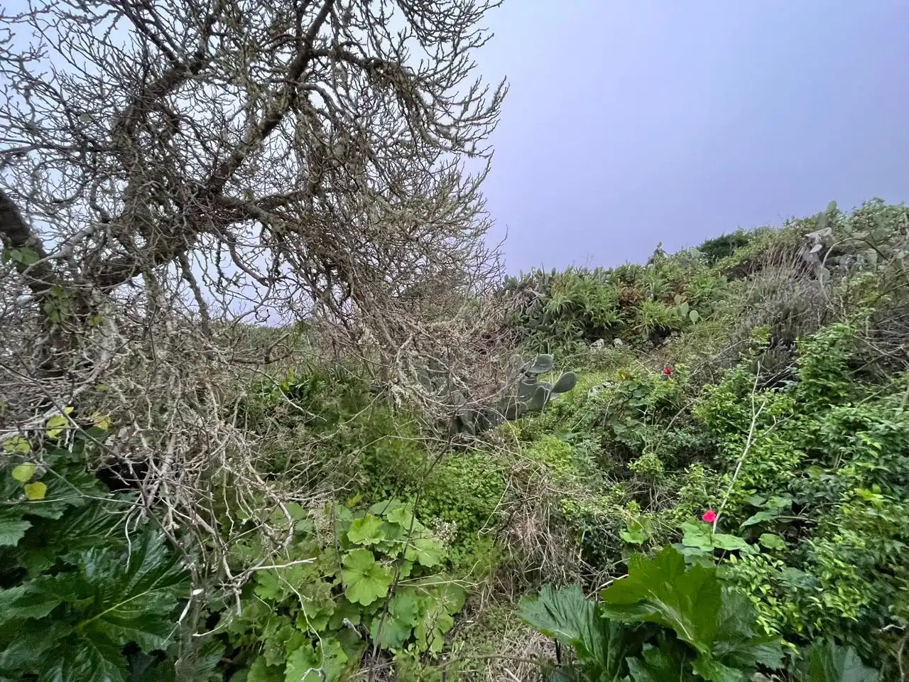 Casa rústica en venda a Casas Del Monte, imagen 9