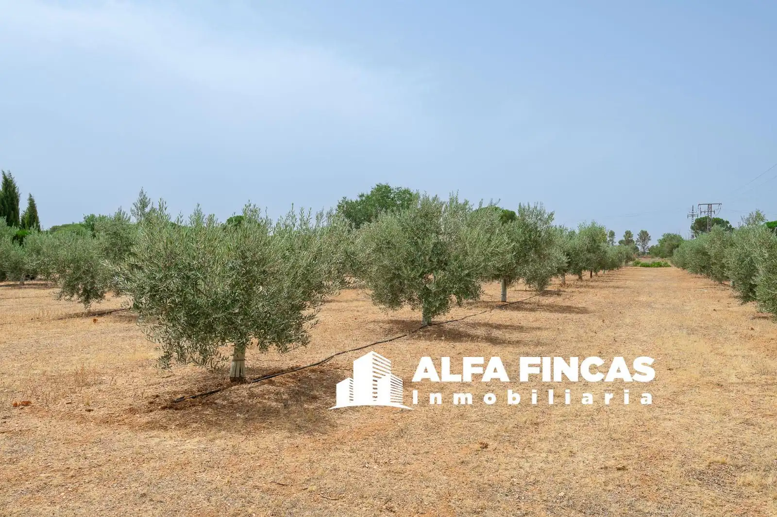Casa o xalet en venda en El Provencio   amb Calefacció, Jardí privat i Terrassa