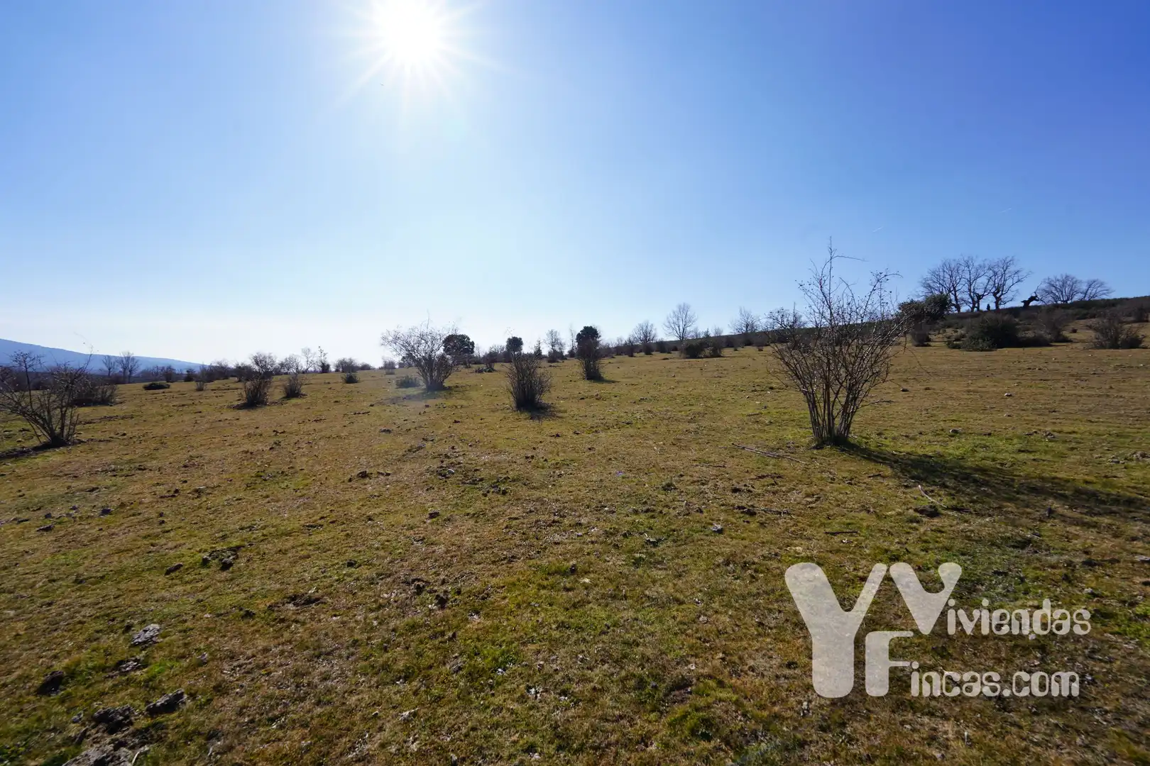 Terreno rústico en venta en Campillo de Ranas, imagen 16
