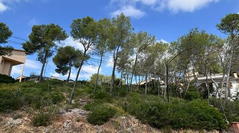 TERRENO URBANO EN VENTA EN EL GARRAF, immagine 3
