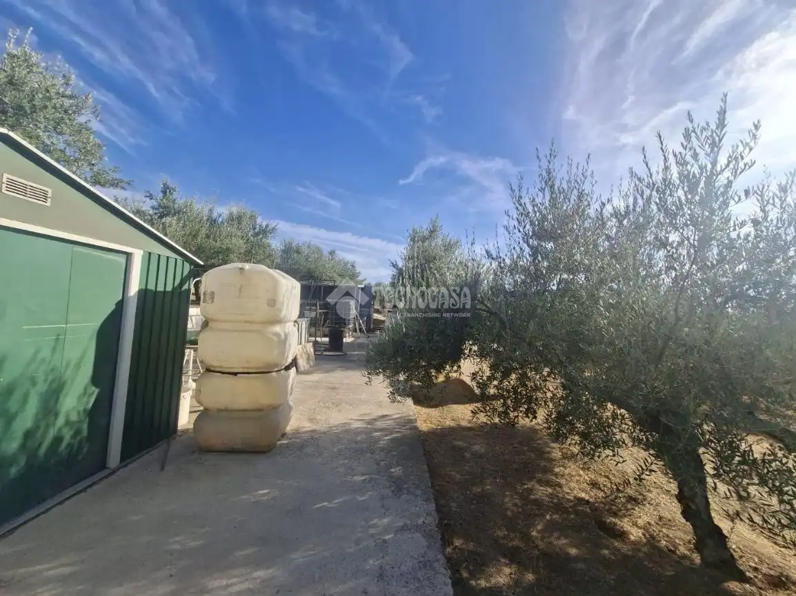 Terreny en venda en Montilla, Córdoba