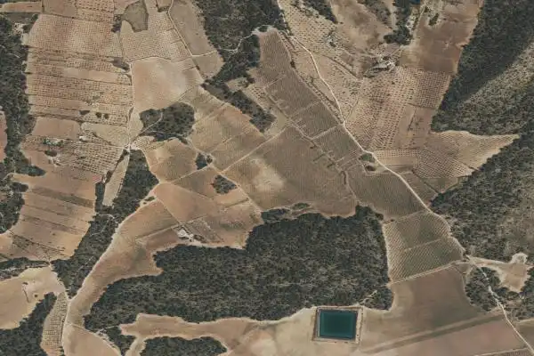 Casa rústica en venta en Yecla, imagen 4