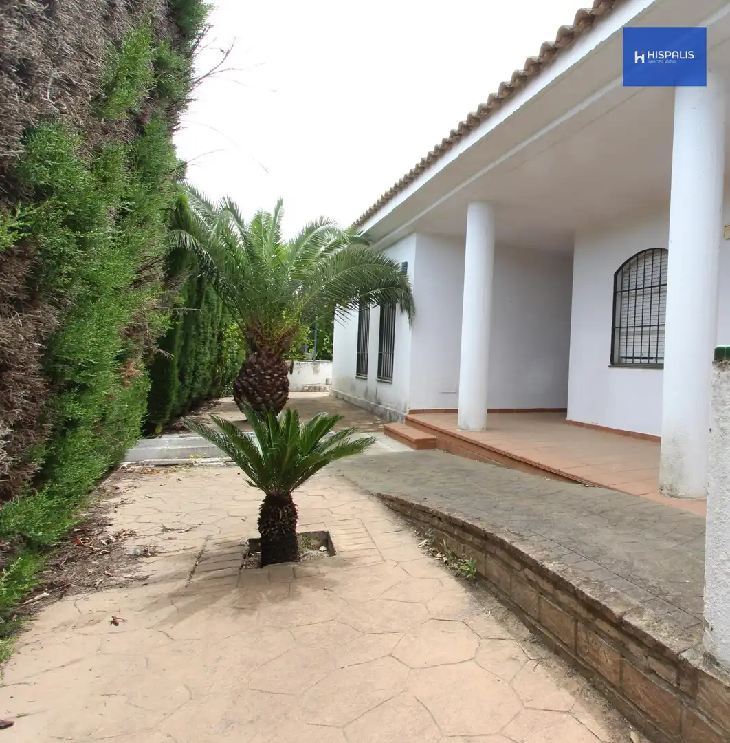 Jardín de Casa o chalet en venta en Almensilla con Aire acondicionado, Trastero y Piscina