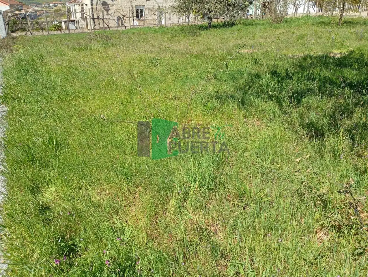 Terreni e lotti in vendita a Amoeiro, imagen 5