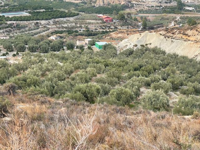 Land for sale in Alicún