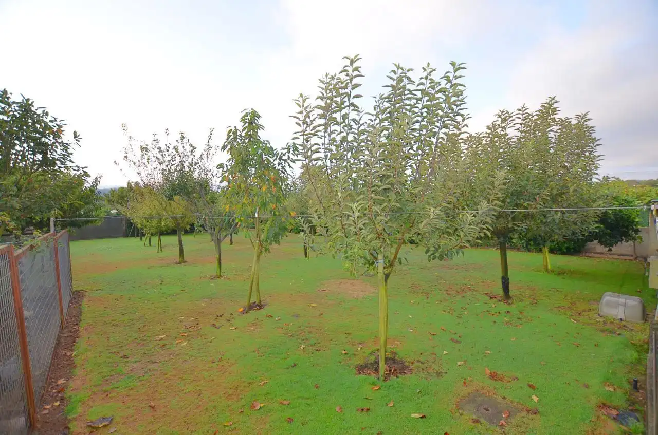 Garden of Houses for sale in O Rosal    with Heating, Private garden and Terrace