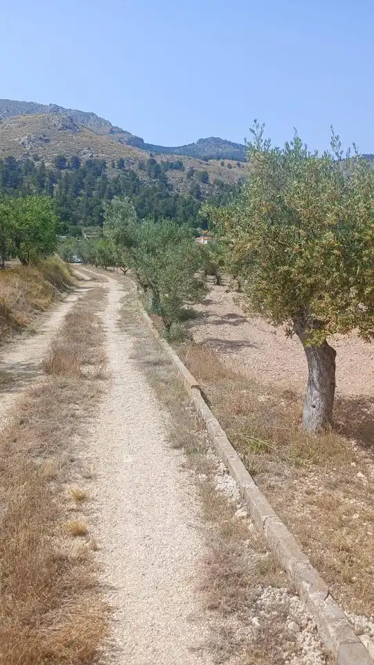Terrenys i solars en venda a Partida Prats, imagen 10