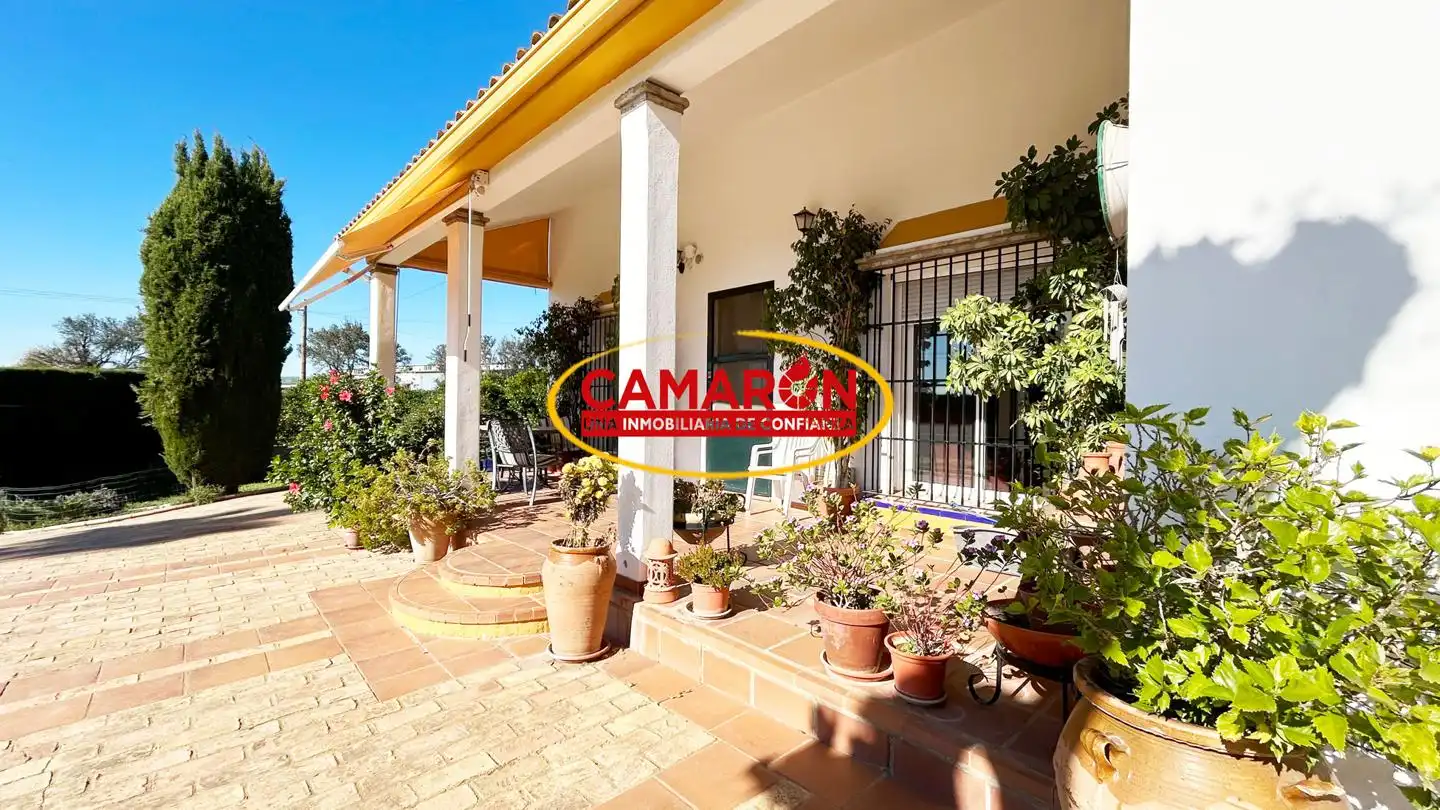 Jardí de Finca rústica en venda en Coria del Río amb Jardí privat i Piscina