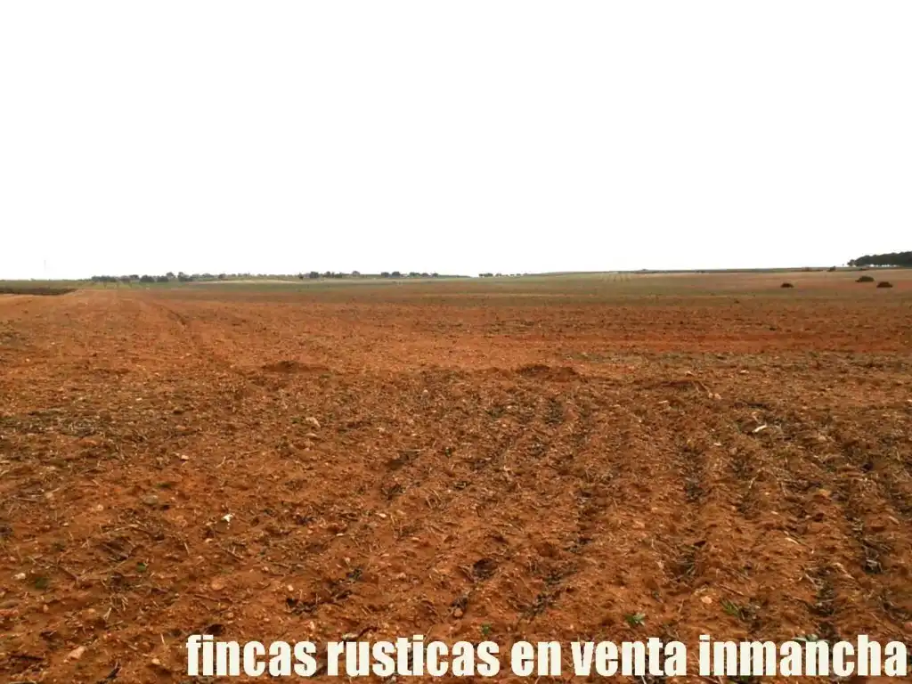Terreno rustico in vendita a Alcázar de San Juan, imagen 12
