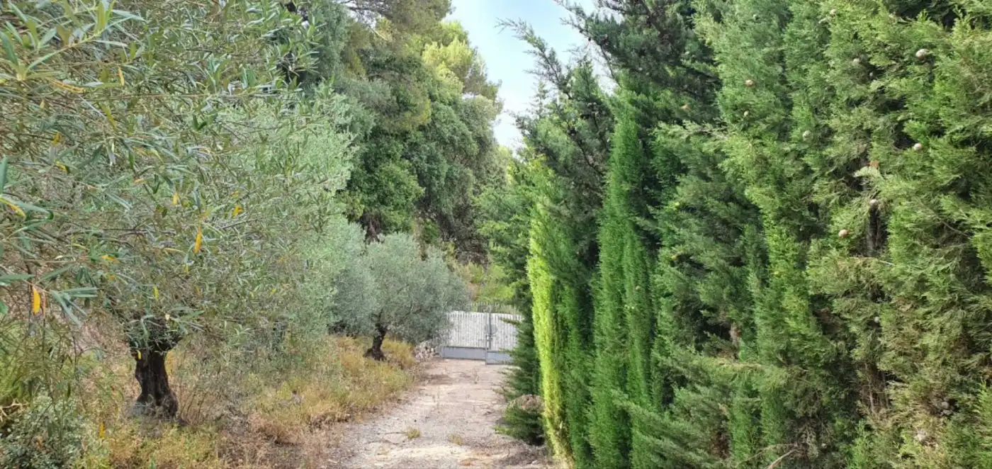 Terreni e lotti in vendita a Yunquera, imagen 13