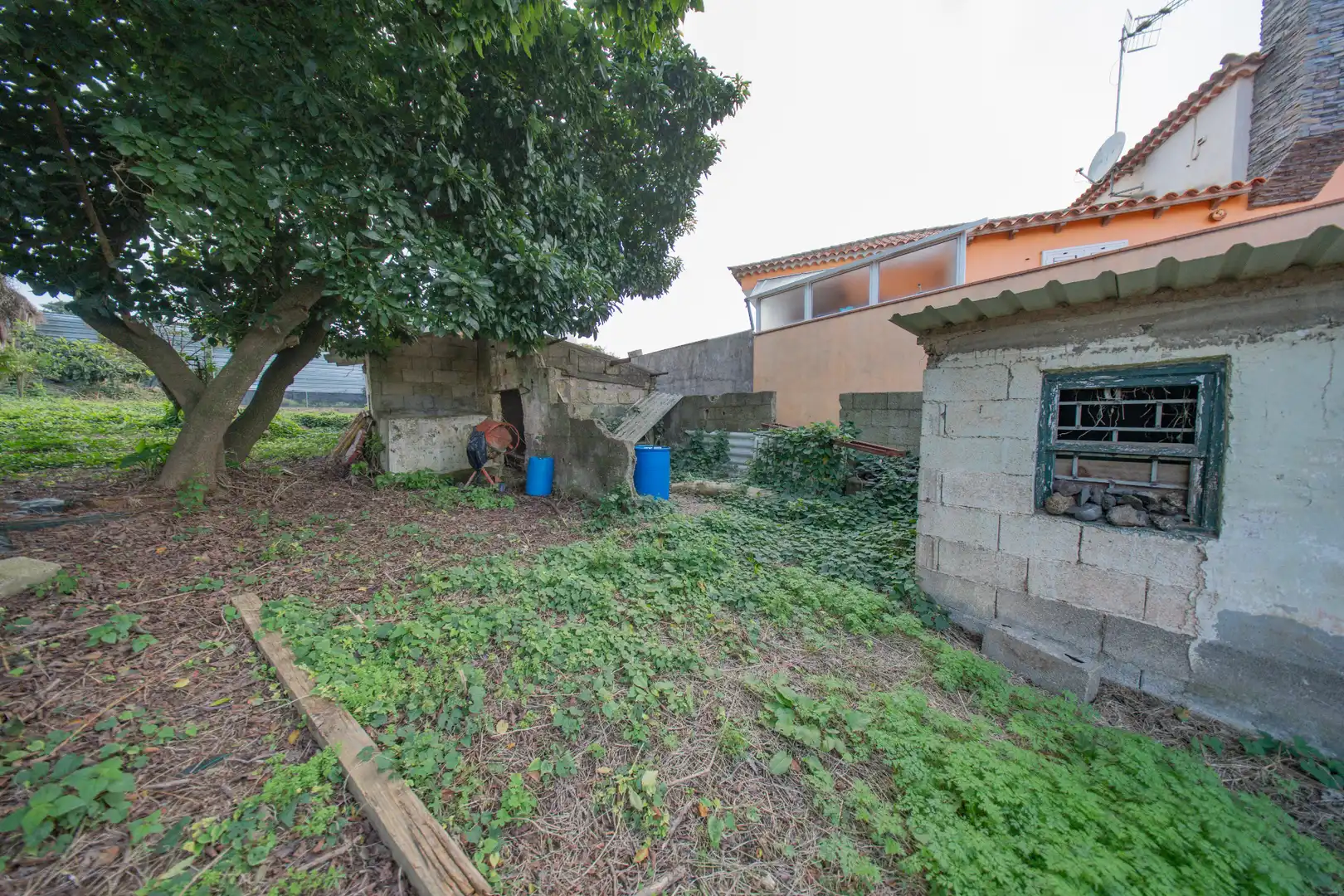 Casa o chalet en venta en Tacoronte