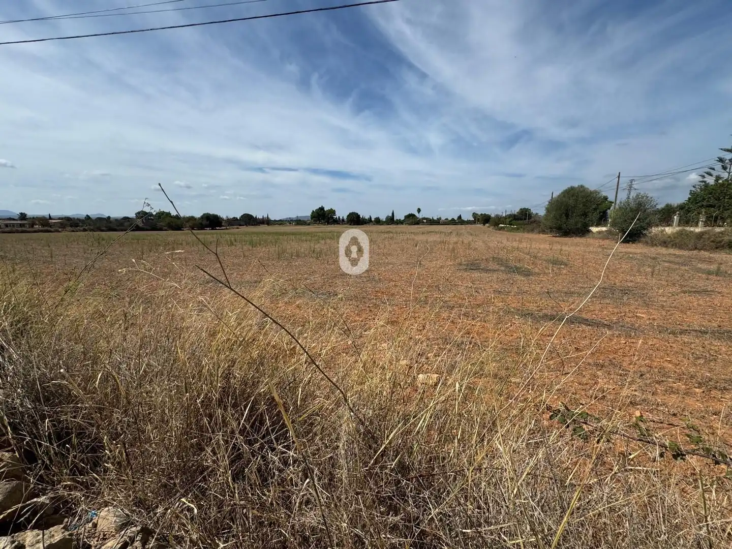 Land for sale in Inca