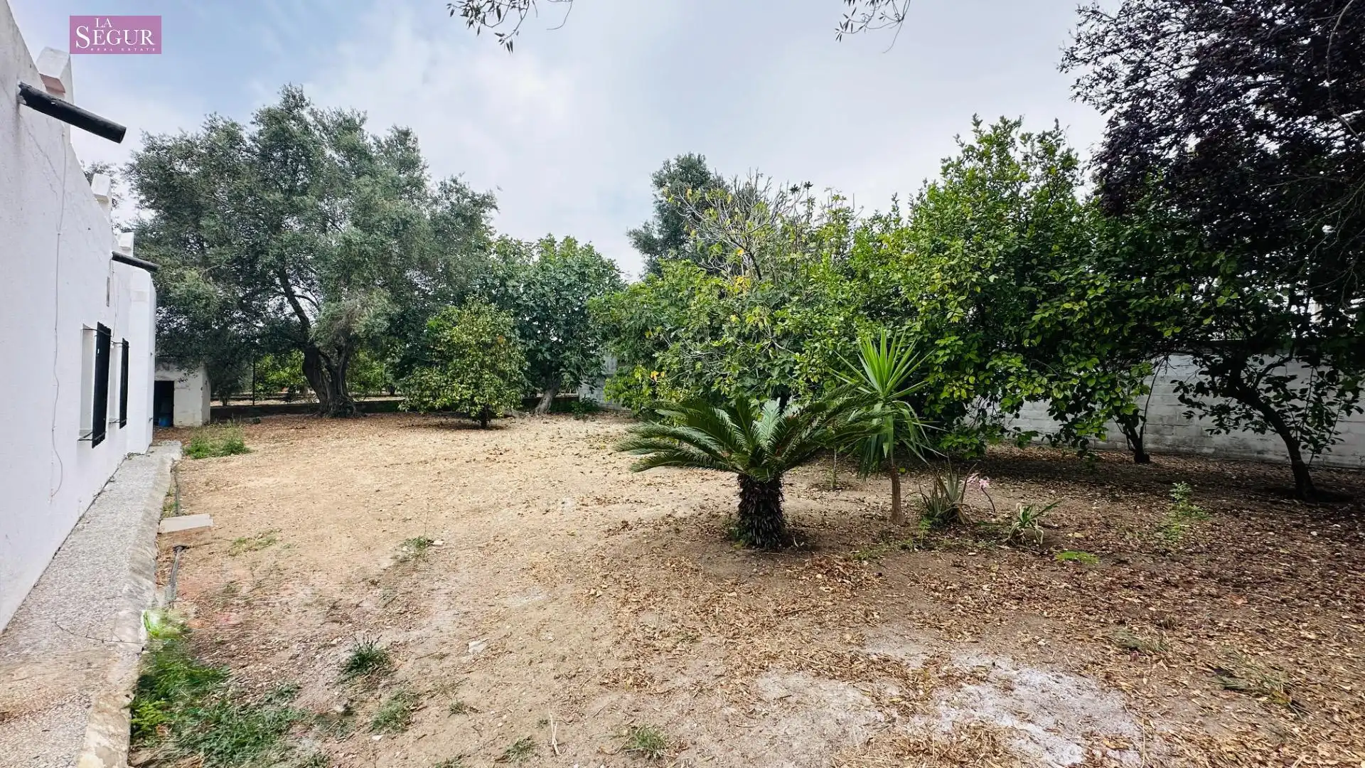 Detached house with garden for sale in Carretera de Barrio Nuevo, imagen 2